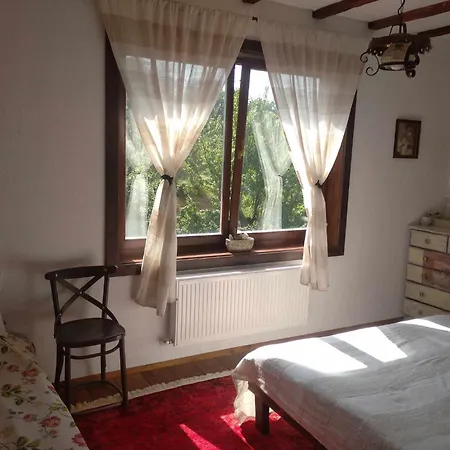 Daire Opa Paşmaklı