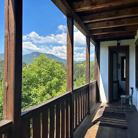 Apartment Opa